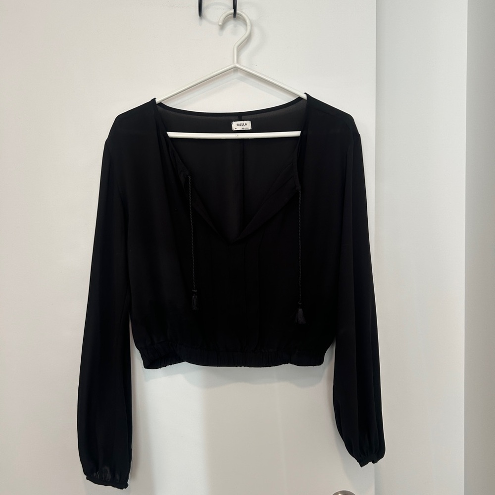 Aritzia Black Long-Sleeve V-Neck Blouse